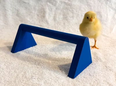 Roost for Baby Chicks