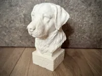 0.2mm layer, 2 walls, 7% infill