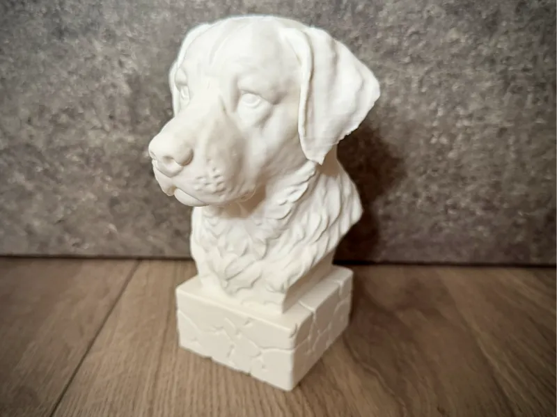 Labrador Retriever Detailed Bust Dog