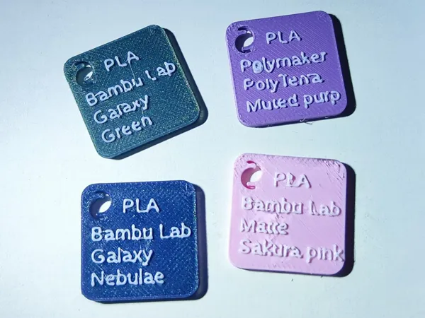 https://makerworld.bblmw.com/makerworld/model/US98c4222d8a229e/design/2024-11-17_37098aef4a116.jpg