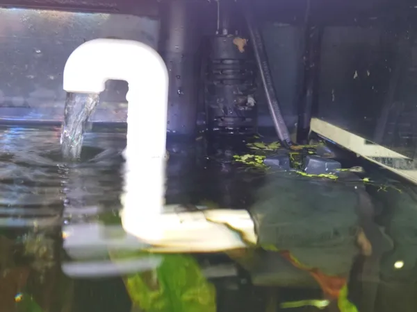 https://makerworld.bblmw.com/makerworld/model/US98c62e6525f004/design/2024-10-30_7c0483f3d7d8f8.jpg