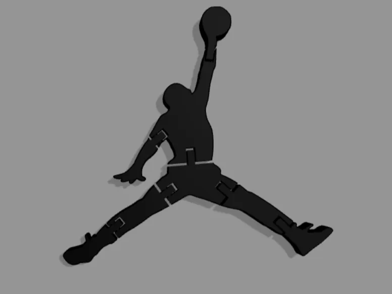Flexi Air Jordan Logo