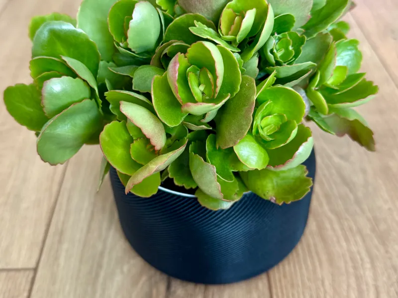 HydraPlanter - Modern Self Watering Planter