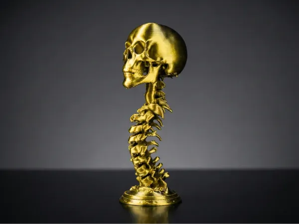 https://makerworld.bblmw.com/makerworld/model/US98d17910dd7576/design/c3c7d0858c38ccfe.png