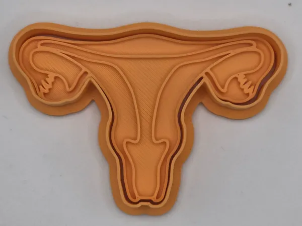 https://makerworld.bblmw.com/makerworld/model/US98d4cf69f16234/design/2025-08-30_eb2c67d98d799.jpg