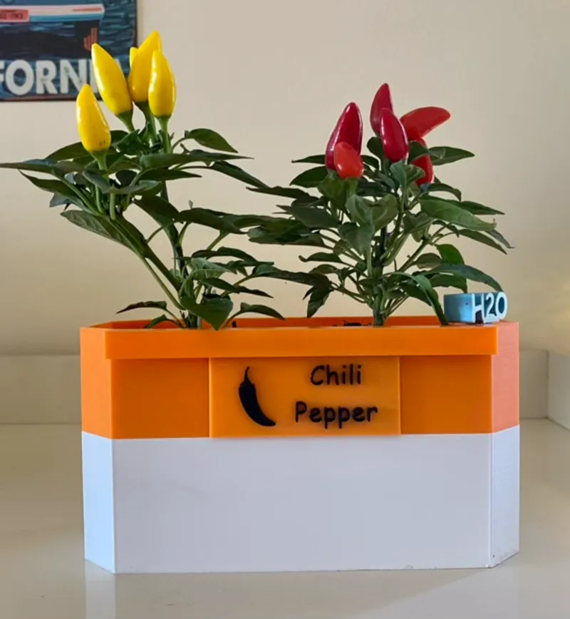 EASY GARDEN