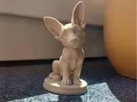 malinois puppy