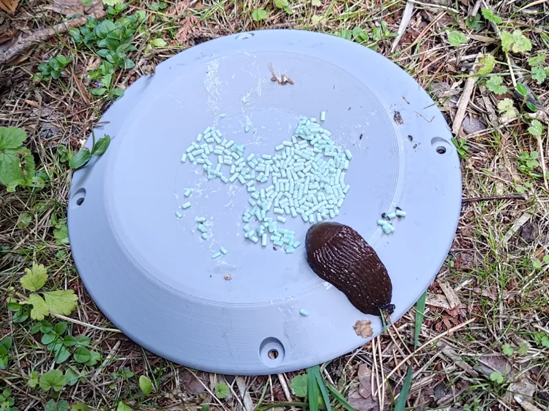 Snail trap 250mm