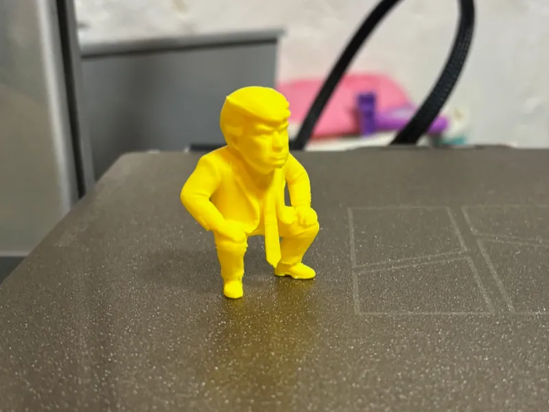 squatting donald