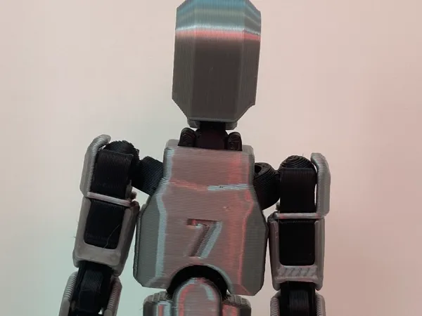 https://makerworld.bblmw.com/makerworld/model/US98ecfe88f944b7/design/2024-11-09_0046551912c1a.jpg