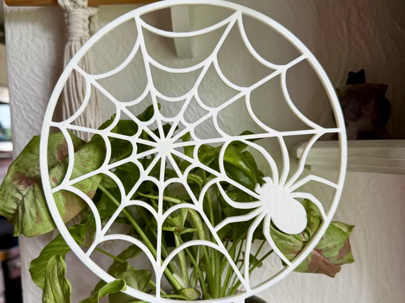 Spider in Web Trellis