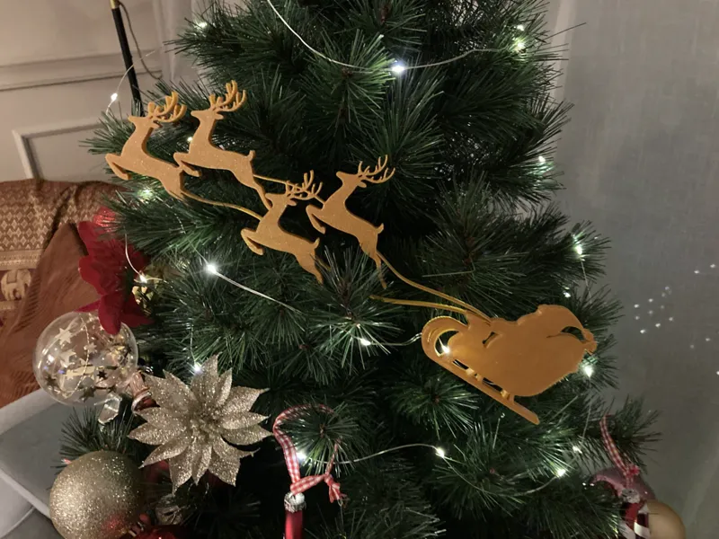 Santa's sleigh / Christmas reindeer