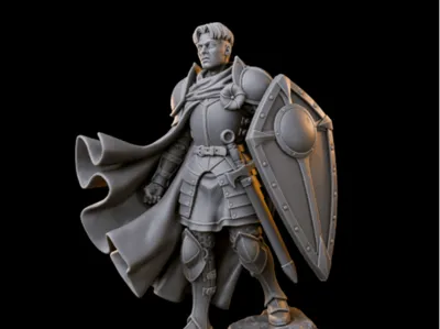 Shield Paladin