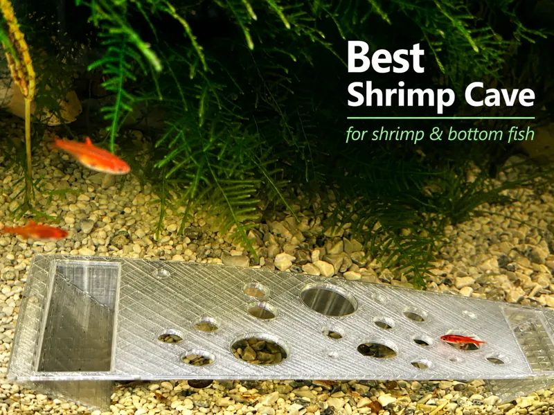 Cueva de acuario, Peces y Gambas | Shrimp Cave 