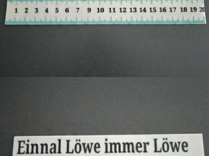 TSV 1860 München Lineal - Einmal Löwe immer Löwe
