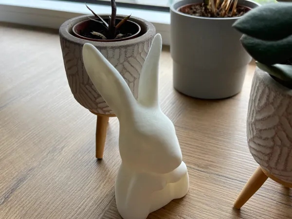 https://makerworld.bblmw.com/makerworld/model/US98fe34b81f58be/design/2025-07-06_0f8d273d0a8f9.jpeg