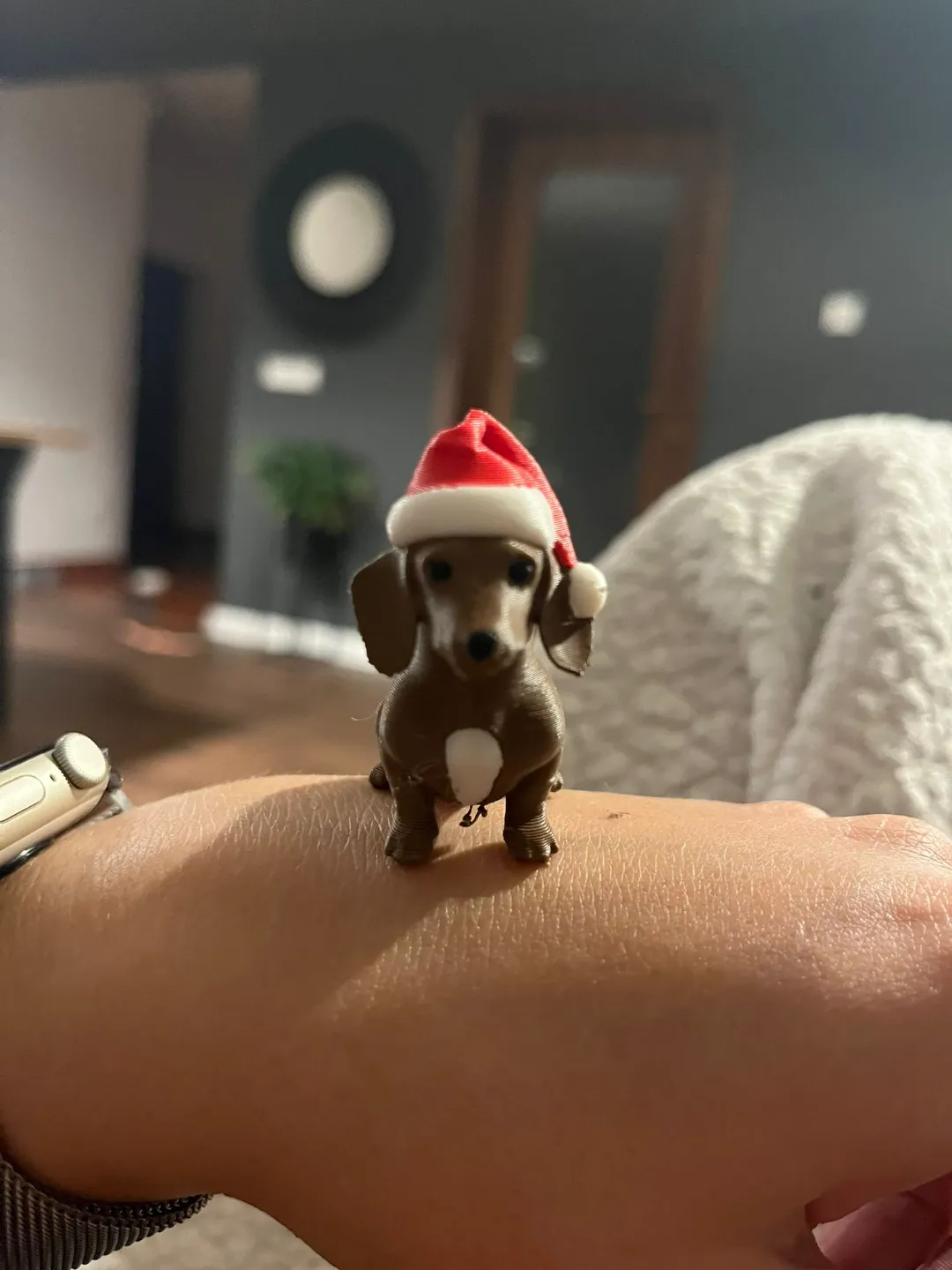 Christmas puppy Dachshund view 4