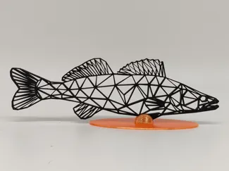 Wandbild Zander 