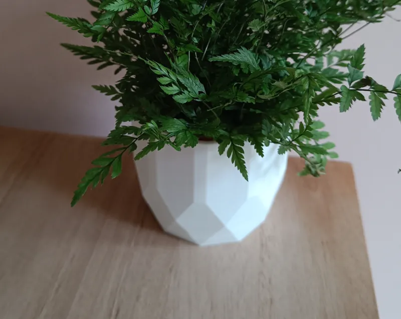 Geometric Planter with Drip Tray