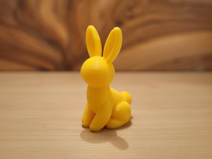Minimal Balloon Rabbit 20min Only