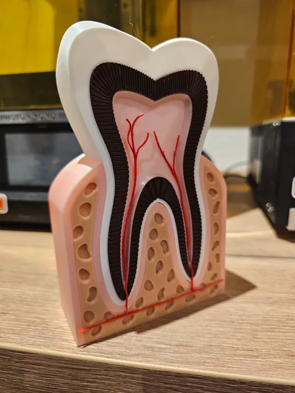 https://makerworld.bblmw.com/makerworld/model/US991058ea5d14cf/design/2024-03-28_242a175be3d99.jpg