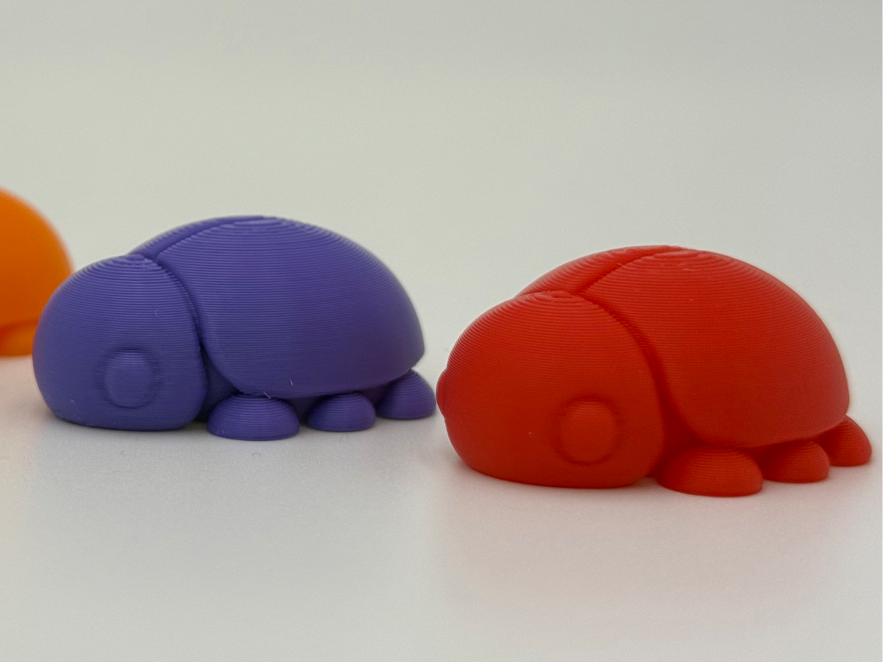 Pebble – The Little Beetle