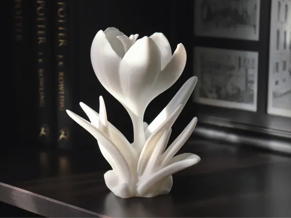 https://makerworld.bblmw.com/makerworld/model/US9911ab4bfabd97/design/2025-03-04_e880e0a89430e8.jpg