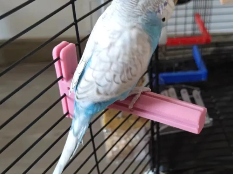 Bird cage stand holder