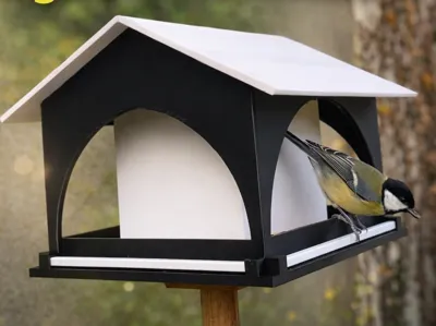 Bird Feeder