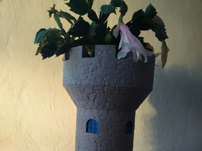 Castle tower for plant