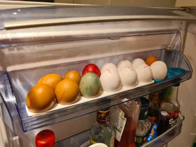 AEG OEM style 4+ egg stand / inserts fridge shelf