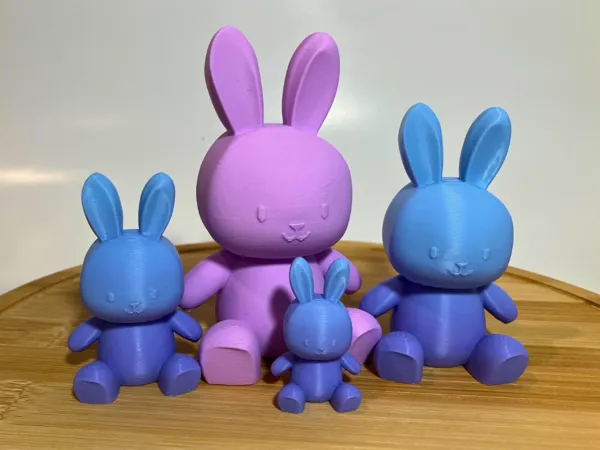 https://makerworld.bblmw.com/makerworld/model/US9924492d1ac5fd/design/2025-03-05_b3425e1345cbe.png