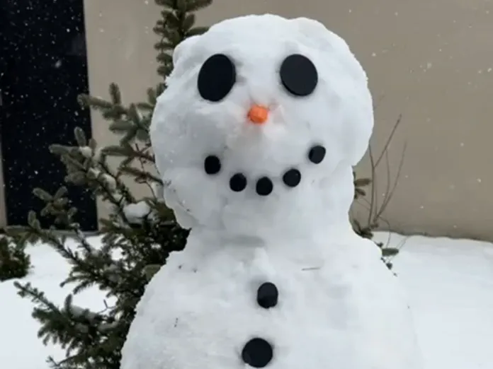 SnowMan Build Kit