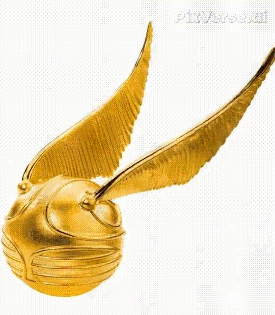 Boccino D'Oro Harry Potter