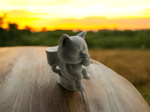 Pooping Kitty