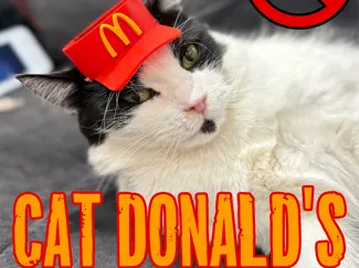 Cat Donald's, hat Mc'Donalds