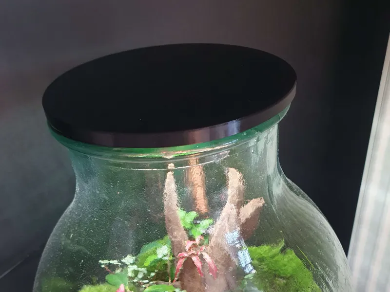 Deckel für 11 cm Terrarium mit Lichteinlass