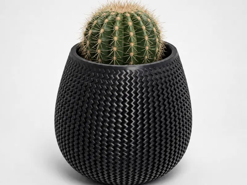 Pot zébré pour plante