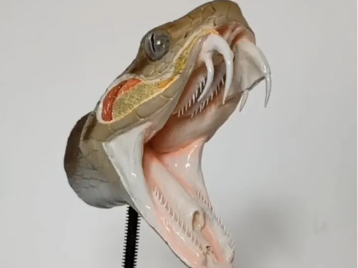Cabeza de serpiente