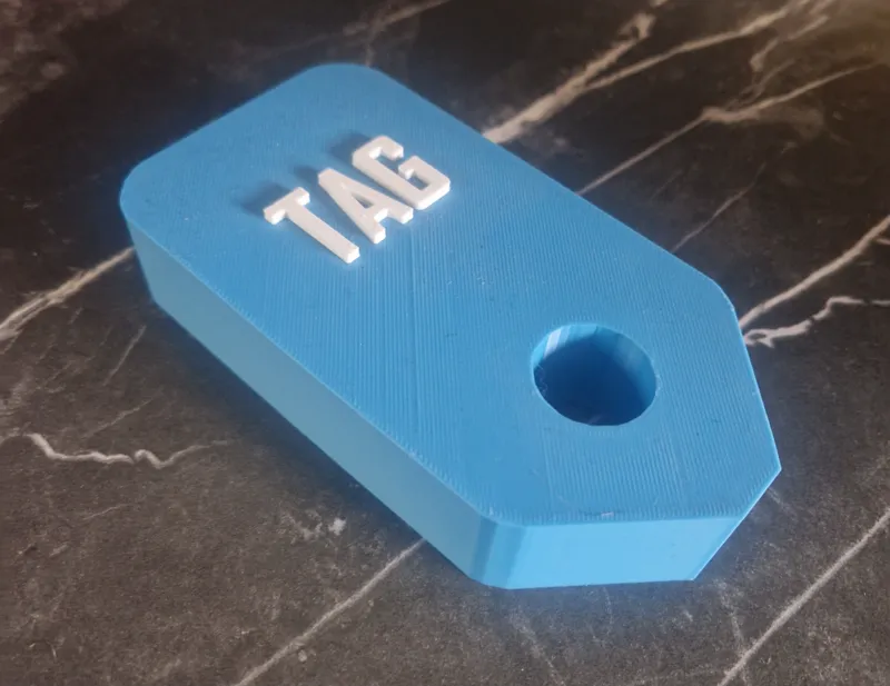 Snag The Tag "Tag" Logo