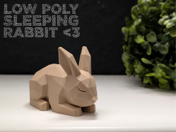 https://makerworld.bblmw.com/makerworld/model/US993f1bf4276970/design/2025-05-27_4872a90ebfe3.jpg