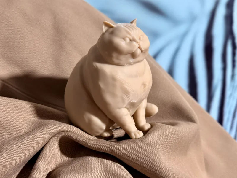 Mr Cat