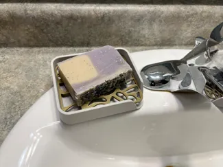 Soap Dish with inserts