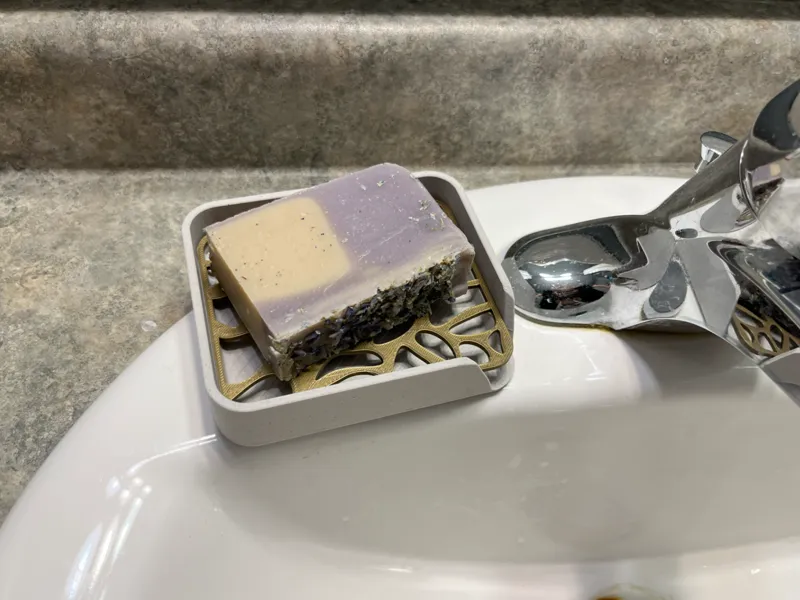 Soap Dish with inserts