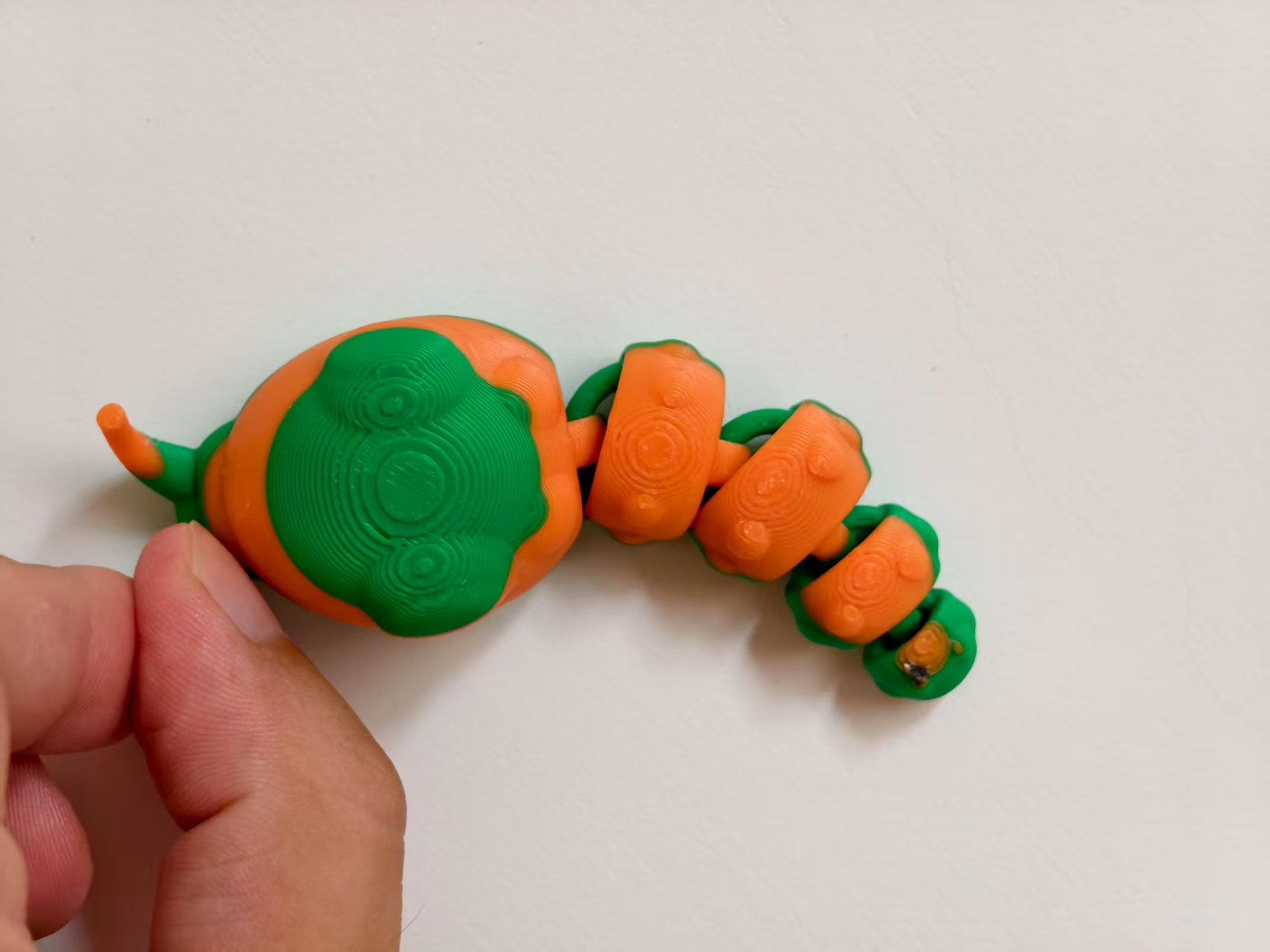 Miniatura 2 do modelo 3D 毛毛虫，无需支撑，儿童识物，乌樟凤蝶幼虫