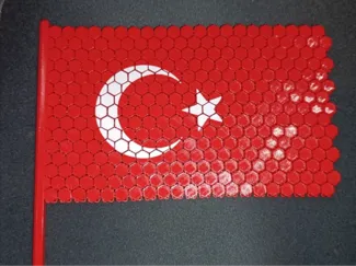 TR cift taraflı bayrak