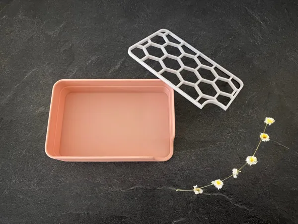 https://makerworld.bblmw.com/makerworld/model/US99558dcb50f3b5/design/2024-02-02_0e449d3d1443b8.png