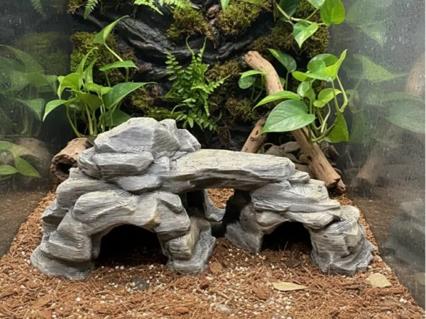 https://makerworld.bblmw.com/makerworld/model/US995a9352c6a37d/design/2026-01-04_d5e9f2d0c84a5.jpg