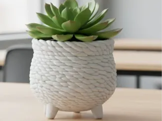 Vaso per piante grasse