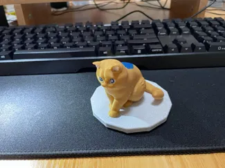 Cute cat